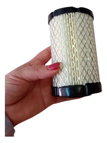 Filtro De Aire Briggs Stratton Código 591334 - 796031 — foto 11 · MadsJeez Marketplace