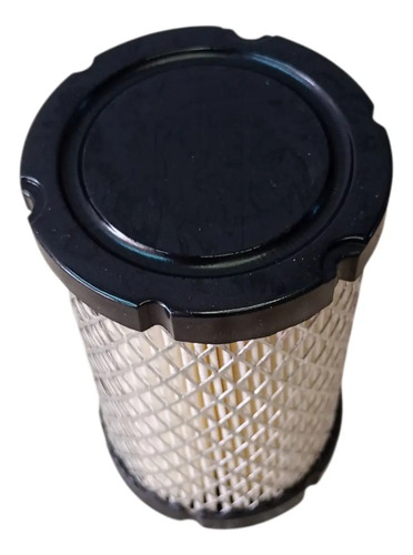 Filtro De Aire Briggs Stratton Código 591334 - 796031 — foto 9 · MadsJeez Marketplace