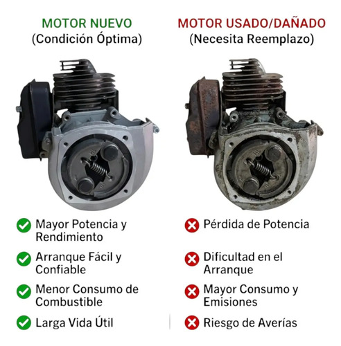 Motor Completo Para Desmalezadora 52cc Tipo Niwa Lusqtoff — foto 2 · MadsJeez Marketplace