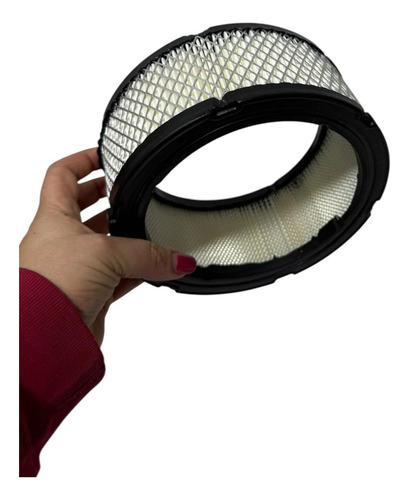 Filtro Aire Briggs Stratton Diámetro 18cm  Altura 8cm — foto 11 · MadsJeez Marketplace