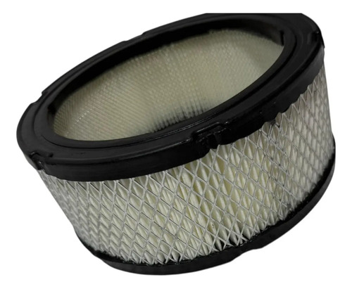 Filtro Aire Briggs Stratton Diámetro 18cm  Altura 8cm — foto 3 · MadsJeez Marketplace