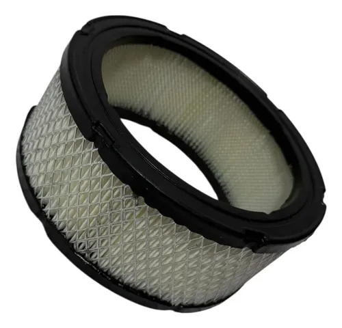 Filtro Aire Briggs Stratton Diámetro 18cm  Altura 8cm — foto 4 · MadsJeez Marketplace