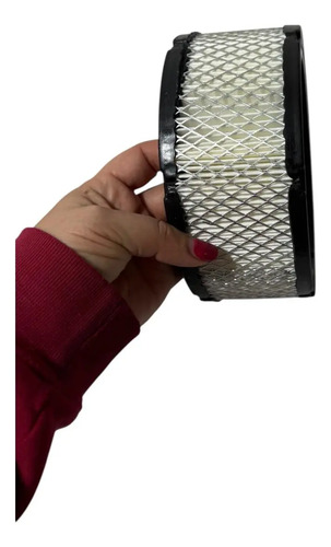 Filtro Aire Briggs Stratton Diámetro 18cm  Altura 8cm — foto 5 · MadsJeez Marketplace