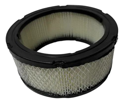 Filtro Aire Briggs Stratton Diámetro 18cm  Altura 8cm — foto 6 · MadsJeez Marketplace