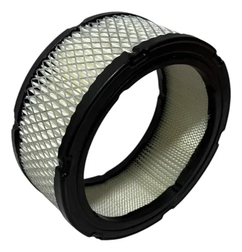 Filtro Aire Briggs Stratton Diámetro 18cm  Altura 8cm — foto 8 · MadsJeez Marketplace