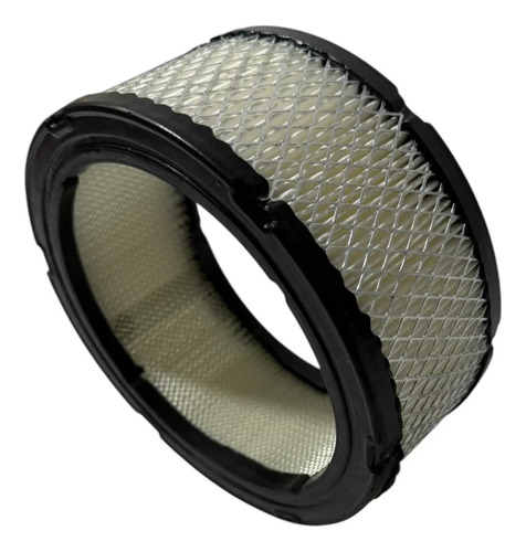Filtro Aire Briggs Stratton Diámetro 18cm  Altura 8cm — foto 9 · MadsJeez Marketplace
