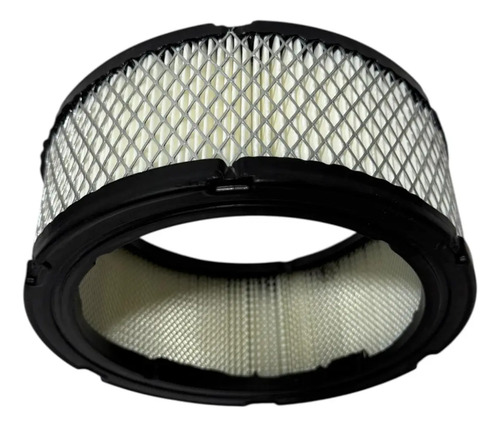 Filtro Aire Briggs Stratton Diámetro 18cm  Altura 8cm — foto 10 · MadsJeez Marketplace