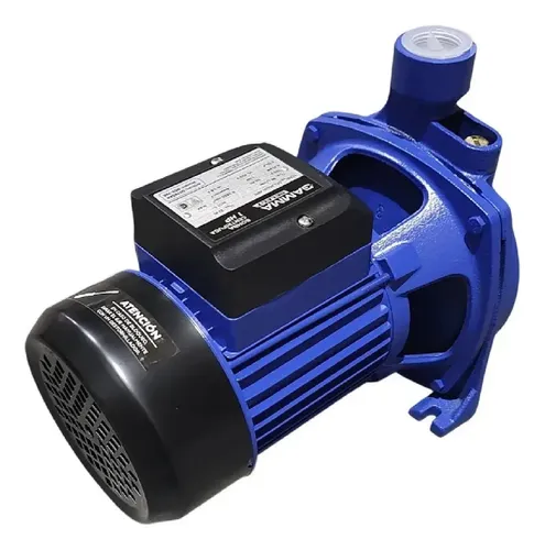 Bomba Centrífuga Gamma Select Ev-158 1 Hp Monofásica Elevado Color Azul Frecuencia 50 — foto 2 · MadsJeez Marketplace