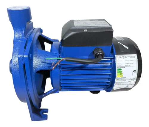 Bomba Centrífuga Gamma Select Ev-158 1 Hp Monofásica Elevado Azul 50 Monofásica — foto 9 · MadsJeez Marketplace