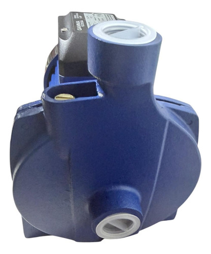 Bomba Centrífuga Gamma Select Ev-158 1 Hp Monofásica Elevado Azul 50 Monofásica — foto 10 · MadsJeez Marketplace
